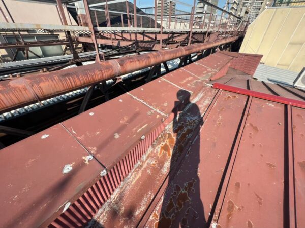 埼玉県川口市の築30年の戸建てにて雨漏り修理、屋根修理＜トタン屋根からスタンビーへ葺き替え工事＞ 施工前